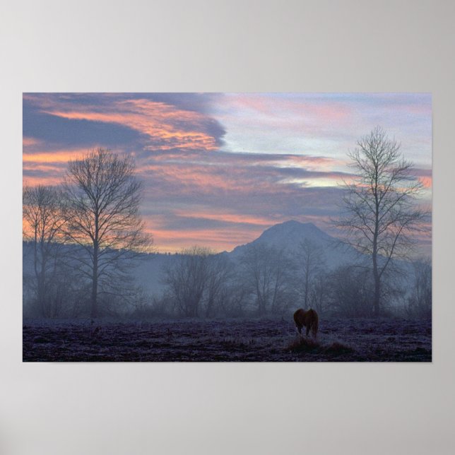 Einsames Pferdeweiden Poster (Vorne)
