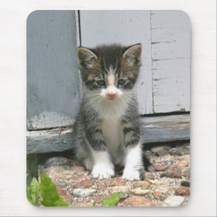 Einsames trauriges Gershwin Mousepad