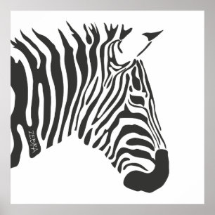 Einsames Zebra Poster