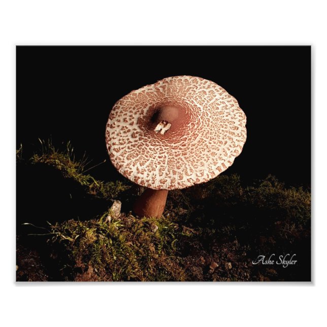 Einsamkeit Fotodruck (Vorne)