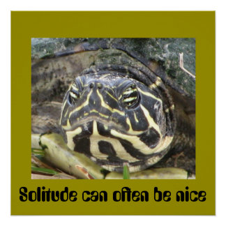 Einsamkeit kann oft schön sein - Schildkrötenpfeif Poster