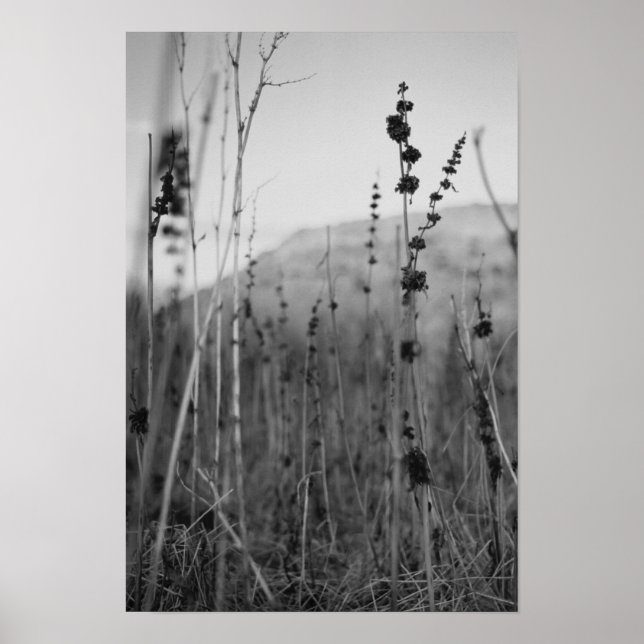 Einsamkeit Poster (Vorne)