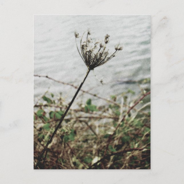 Einsamkeit Postkarte (Vorderseite)