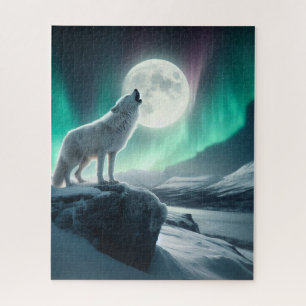Einschleusen in die Nordlichter