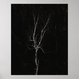 Einseitiger weißer Baum Poster