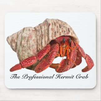 Einsiedler-Krabbe Mousepad, die berufliche Mousepad