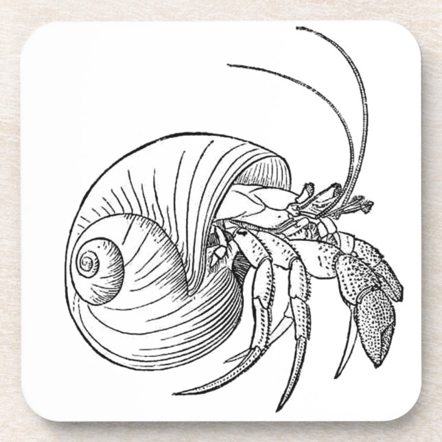 Einsiedlerkrebs-Illustration (Linie Kunst) Untersetzer (Vorderseite)