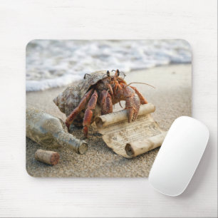 Einsiedlerkrebs liest einen Brief am Strand Mousepad