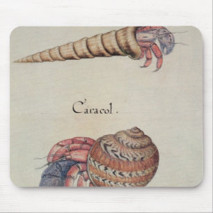 Einsiedlerkrebs Mousepad