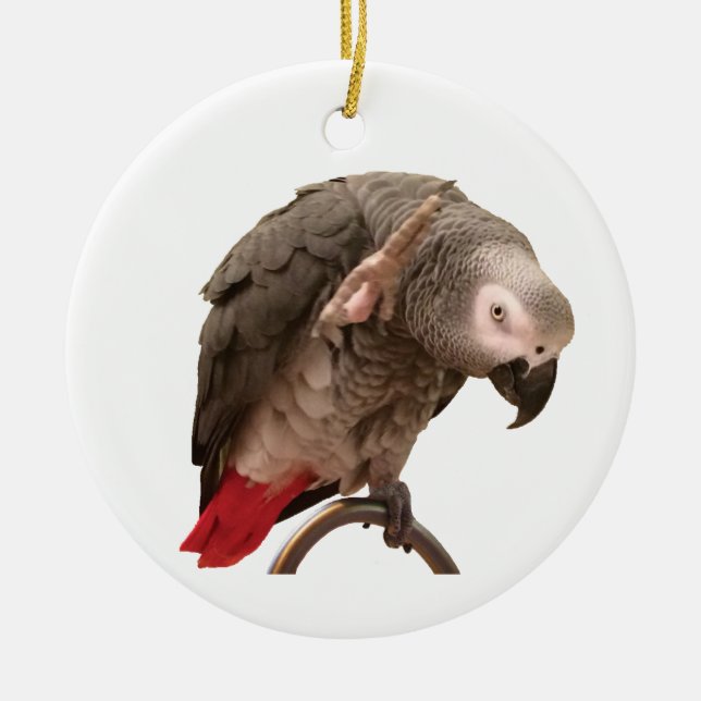 Einstein African Gray Parrot Waving Keramik Ornament (Vorne)