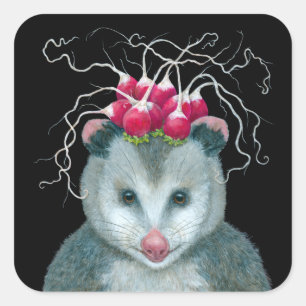 Einstein die Opossum-Aufkleber Quadratischer Aufkleber