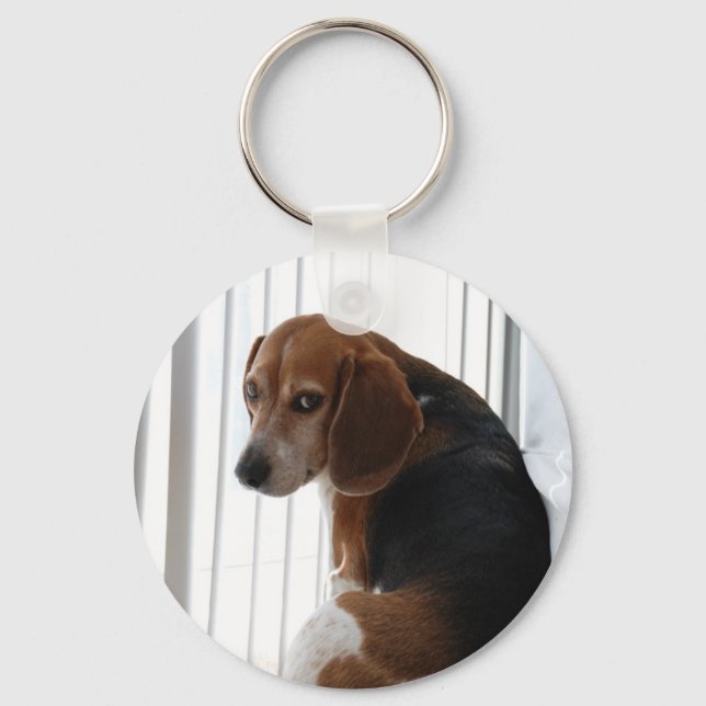Einstellung des Beagle Schlüsselanhänger (Vorderseite)