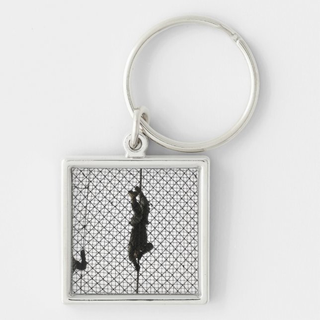 Einstellung eines Hindernisses Schlüsselanhänger (Vorne)