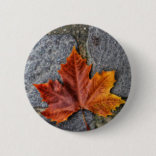 "Einstieg in den Herbst" Button