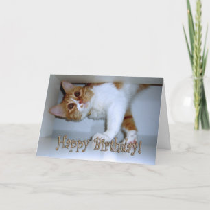Eintauchen in Kitty - Alles Gute zum Geburtstag! Karte