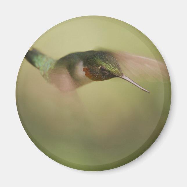 Eintauchen Magnet (Vorne)