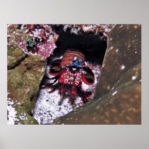 Eintrittsschutz Poster