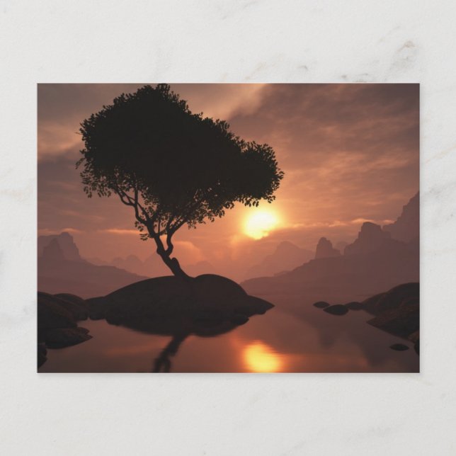Einzelbaum-Postkarte Postkarte (Vorderseite)