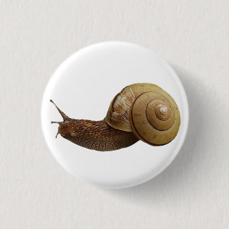 Einzelbild Button