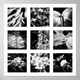 Einzelheiten der Reihe "Natur" - Blume 2 Poster