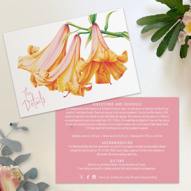 Einzelheiten zur Hochzeit der Afrikanischen Königi Begleitkarte (Von Creator hochgeladen)