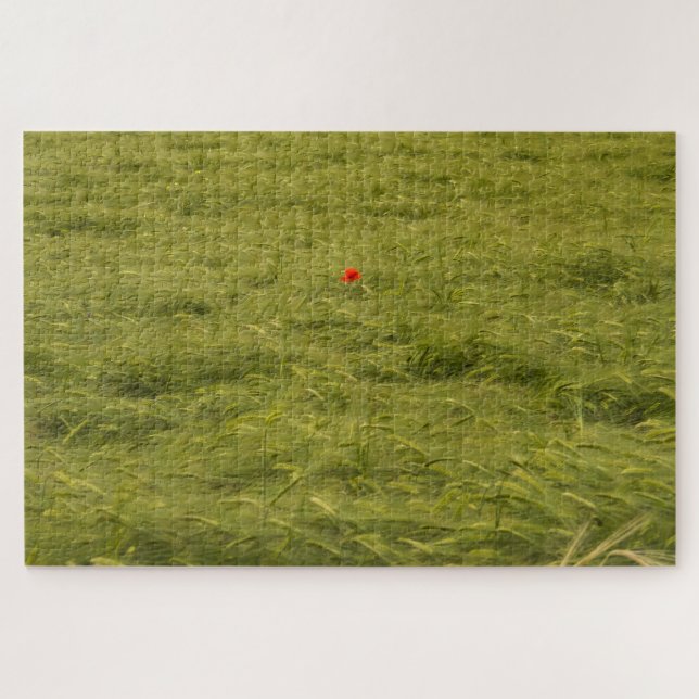 Einzelmohn auf grünem Feld - Sehr schwierig (Horizontal)