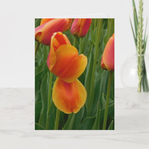 Einzelne Goldene Tulpen-Notizkarte Karte