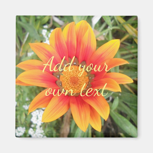 Einzelne orange Blume mit individuellem Text Magnet (Vorne)