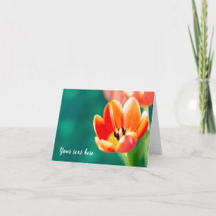 Einzelne orange Tulpen-Grußkarte Karte