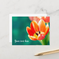 Einzelne orange Tulpen-Postkarte