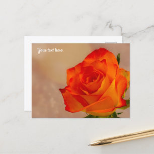 Einzelne orangefarbene Rosen-Postkarte Postkarte