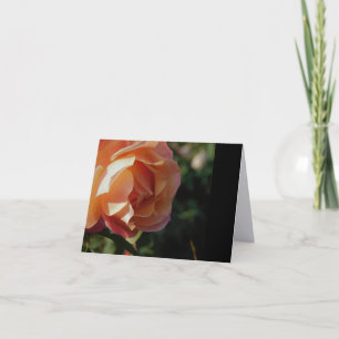 Einzelne Rose Fine Art Minimalistische Notizkarten Dankeskarte