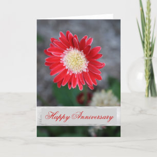 Einzelne rote Blume Hochzeit Jubiläumsgruß Karte