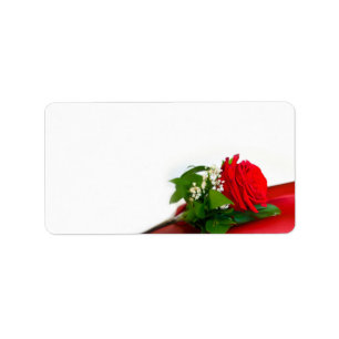 Einzelne rote Rose – Florales weißes Hintergrundbi Adressaufkleber