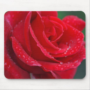 Einzelne rote Rosen blühen Mousepad