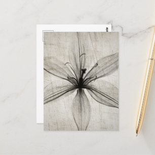 Einzelne Vintage-Röntgenblume Postkarte