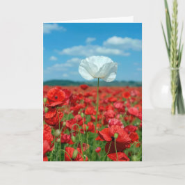 Einzelne weiße Mohnblume auf einem roten Mohnfeld Karte