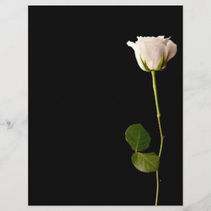 Einzelne weiße Rose auf schwarzem Hintergrund Flyer