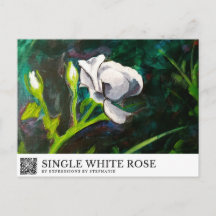 Einzelne weiße Rose