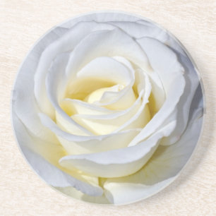 Einzelne weiße Rosenblüten Sandstein Untersetzer