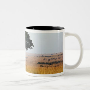 Einzelner Akazienbaum auf grasbewachsenen Ebenen, Zweifarbige Tasse