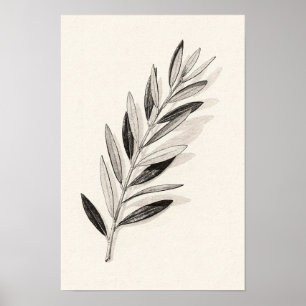 Einzelner Olivenzweig Monochrome Natur Poster