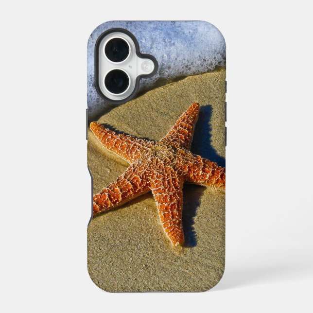 Einzelner Seestern am Strand iPhone 16 Hülle (Rückseite)