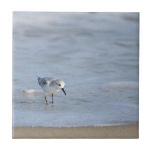 Einzelner Strandläufer am Strand entlanglaufend  Fliese