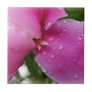 einzelnes Blütenblatt im Regen Fliese