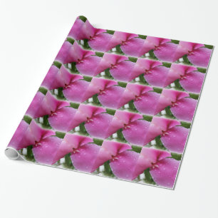 einzelnes Blütenblatt im Regen Geschenkpapier