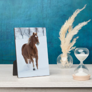 Einzelnes Pferd läuft im Schnee Fotoplatte