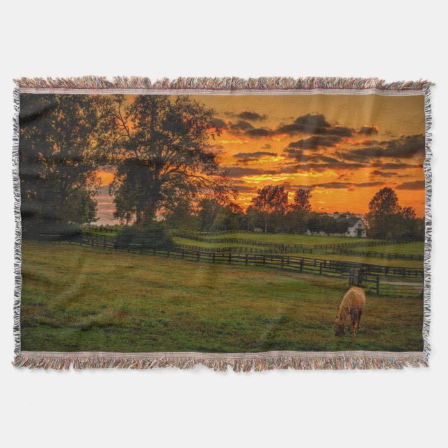 Einzelpferd bei Sonnenuntergang Decke (Vorderseite)