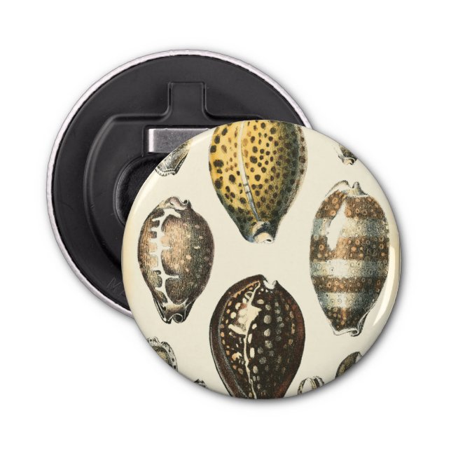 Einzigartig geformte Muscheln Flaschenöffner (Vorderseite)