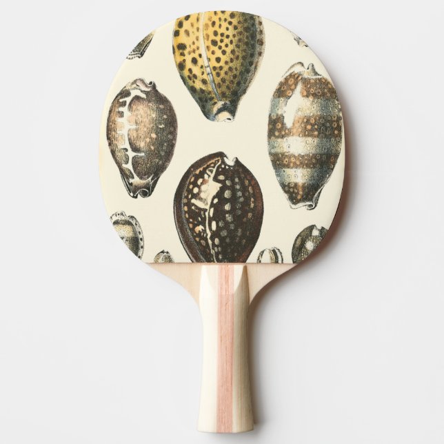 Einzigartig geformte Muscheln Tischtennis Schläger (Vorderseite)